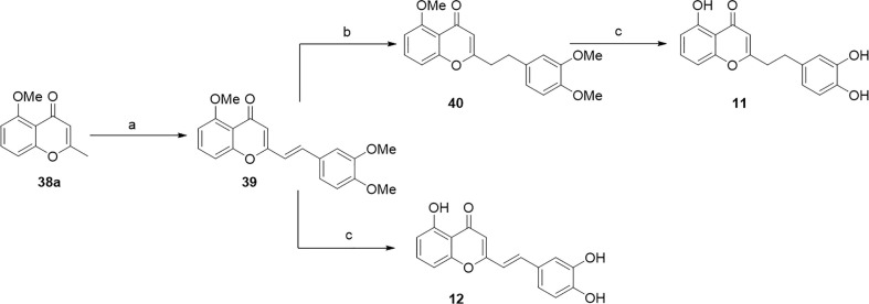 Scheme 5