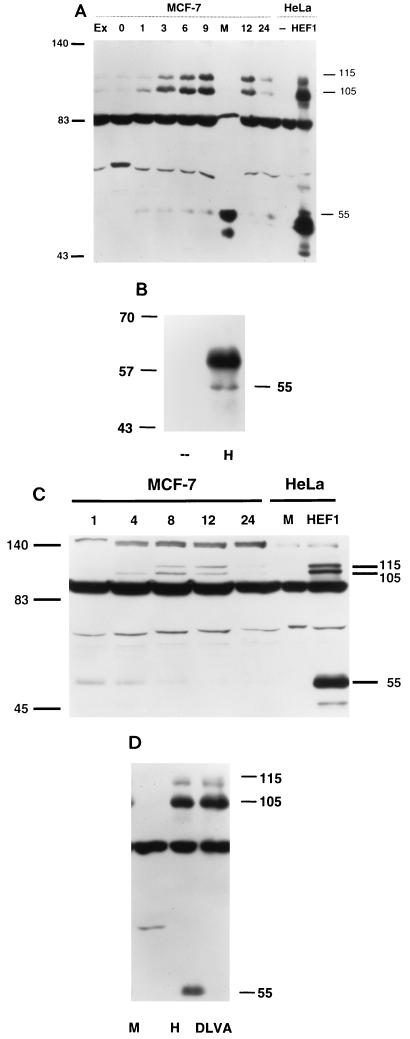 FIG. 6