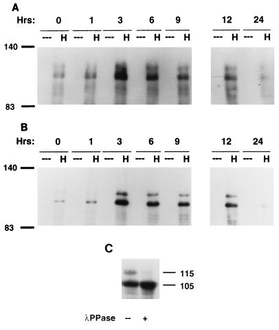 FIG. 5