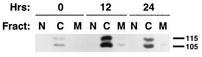 FIG. 7