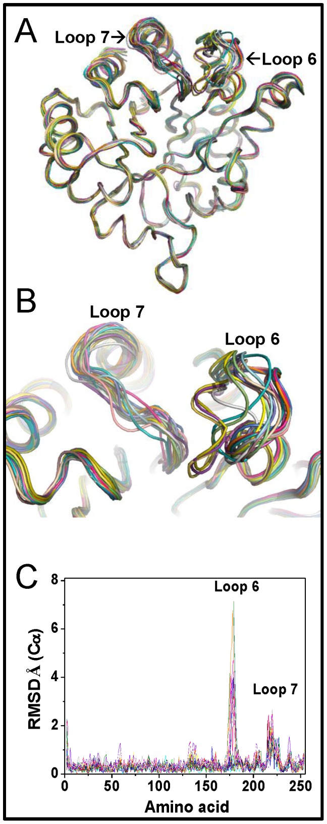 Figure 7