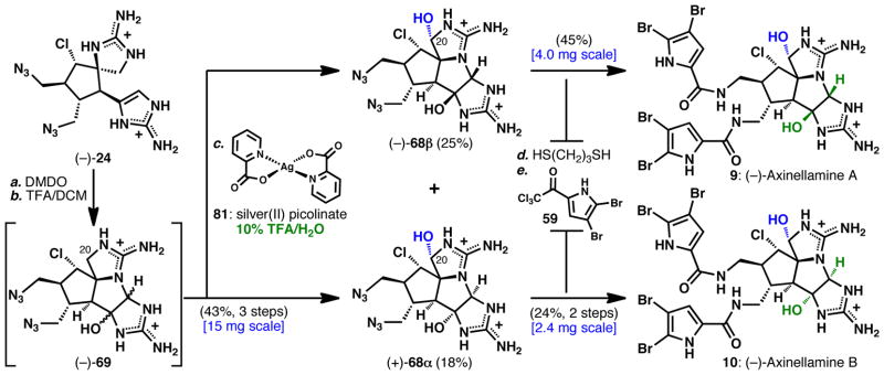 Scheme 12