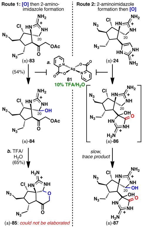 Scheme 13