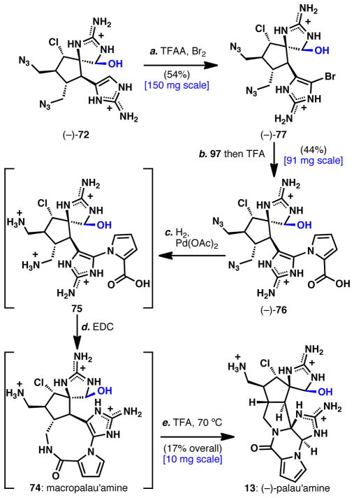 Scheme 17