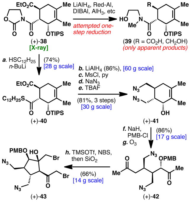 Scheme 6