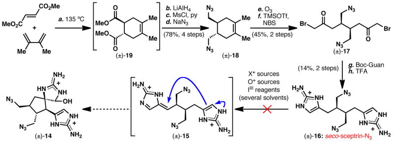 Scheme 3