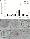 Fig. 3.