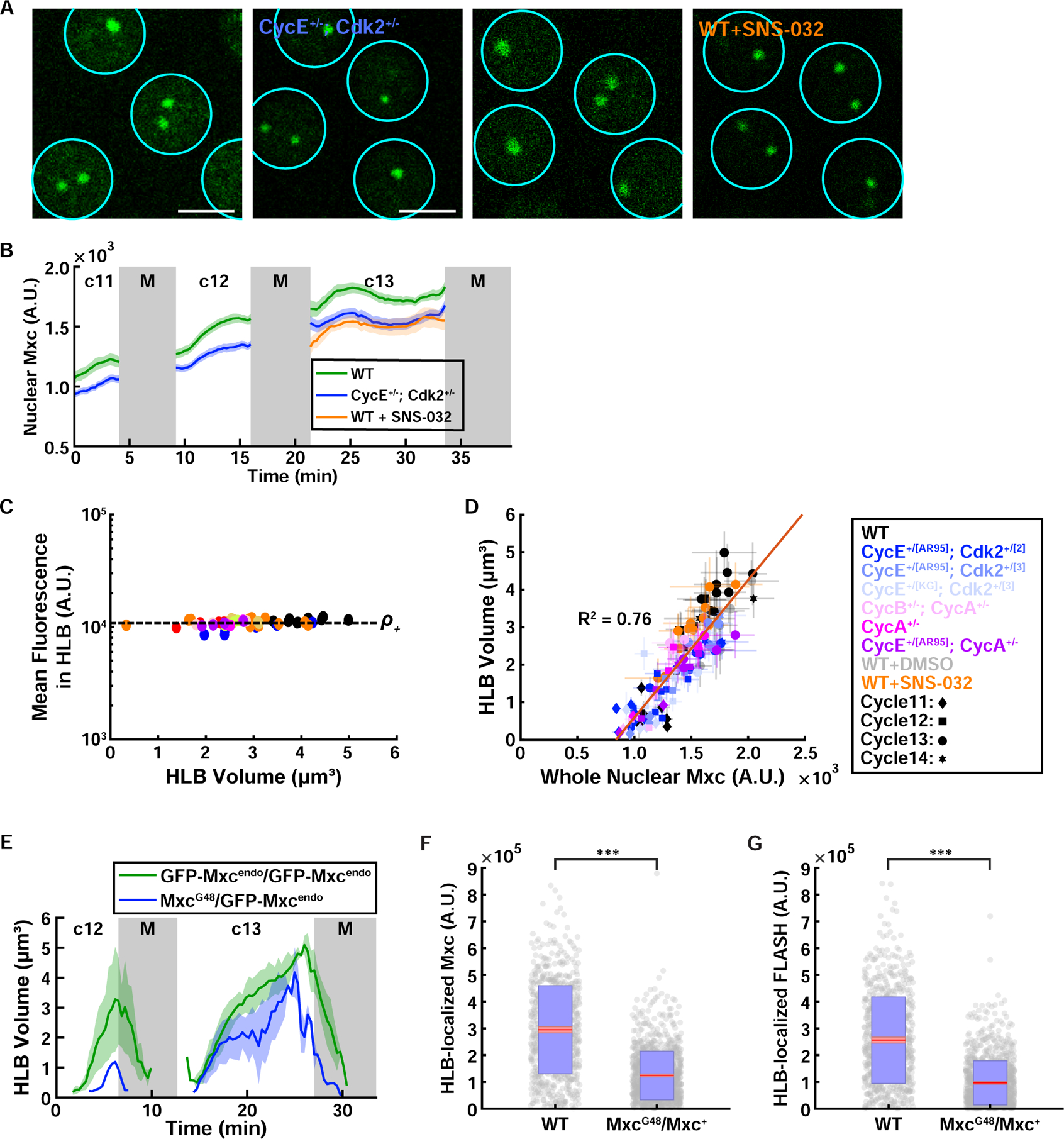 Figure 6.