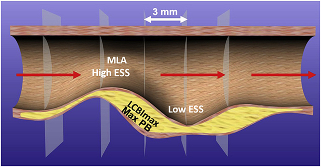 graphic file with name nihms-1767403-f0001.jpg