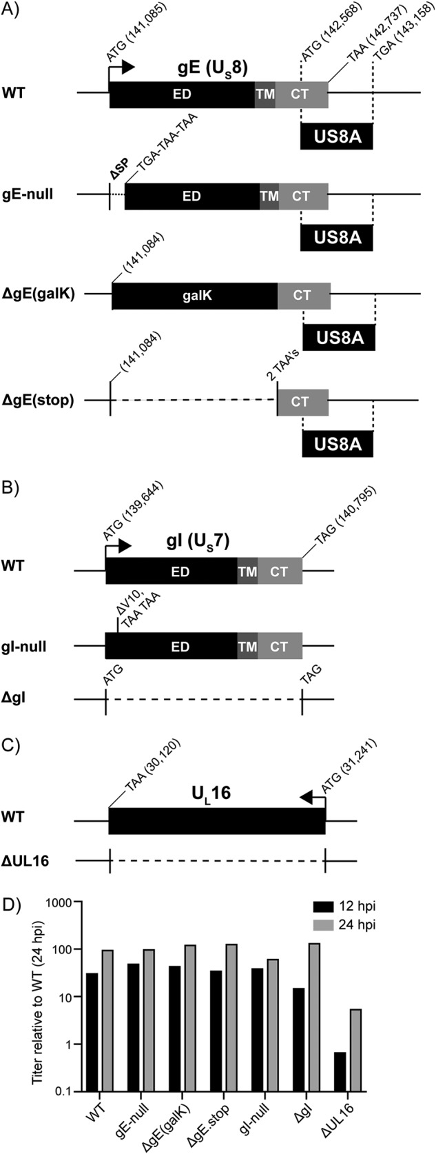 FIG 2