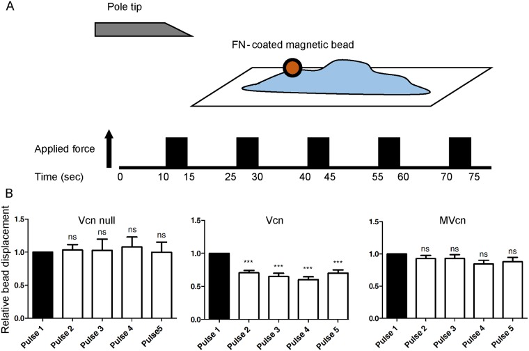 Fig 6