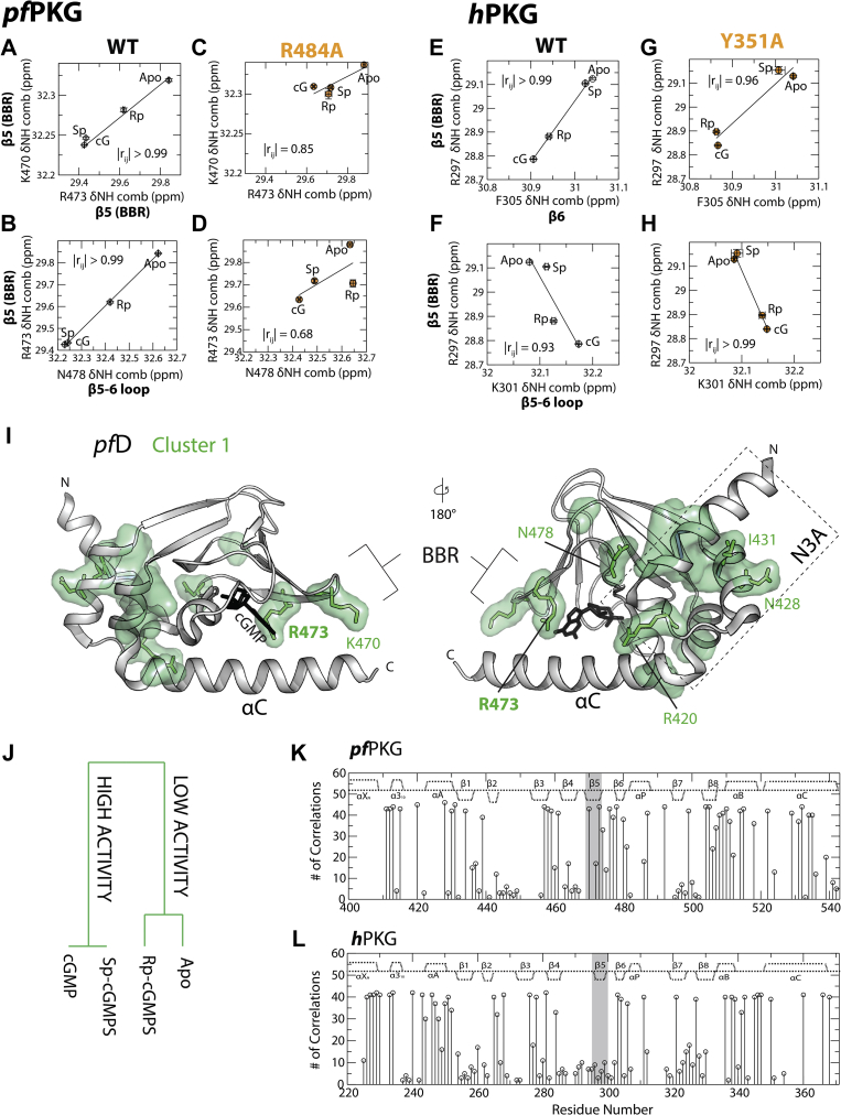 Figure 6