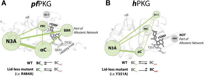 Figure 7