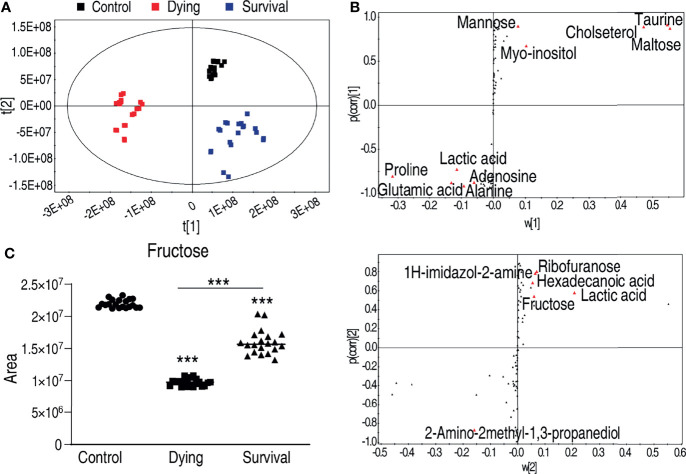 Figure 3