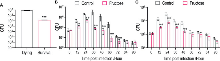 Figure 6