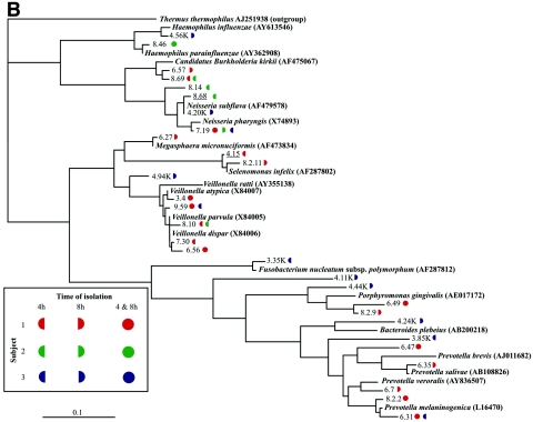 FIG. 4.