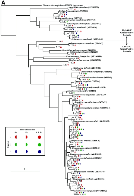 FIG. 4.