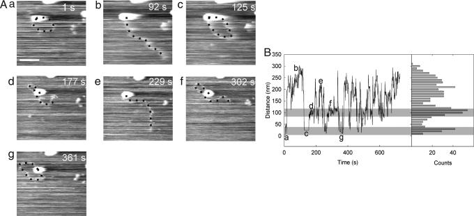 Fig. 4.