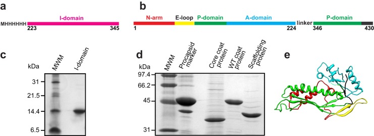 FIGURE 1.