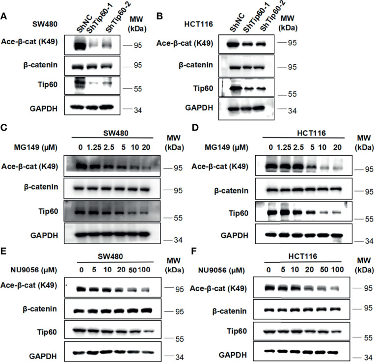 Figure 6