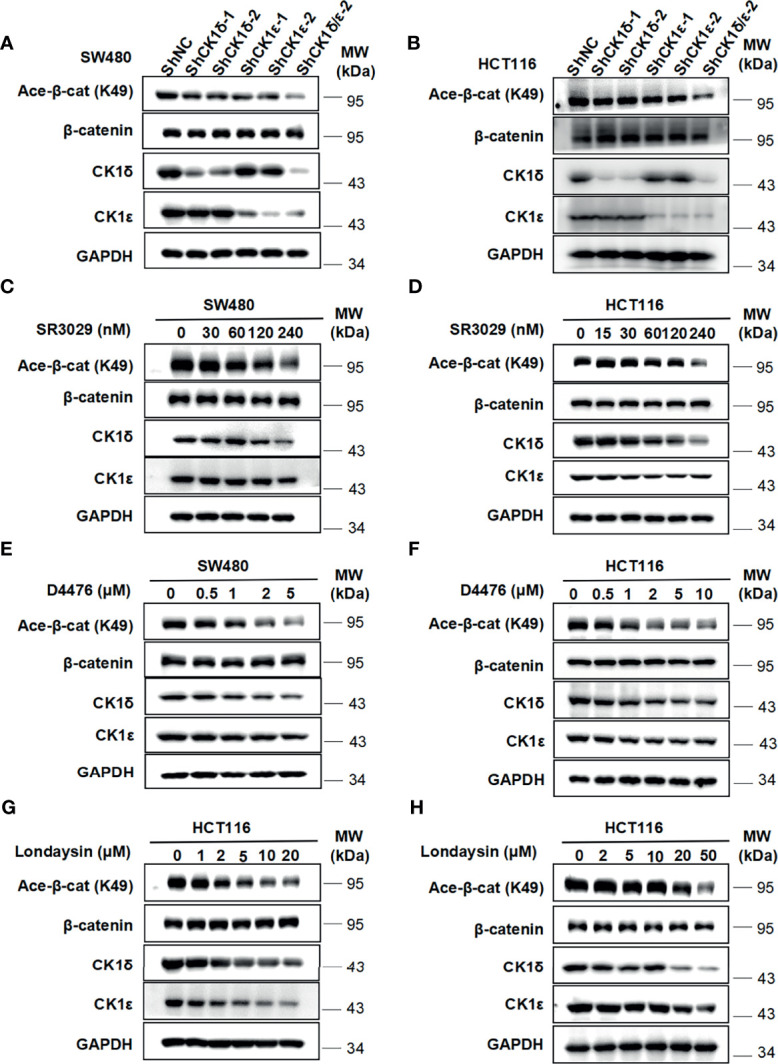 Figure 5