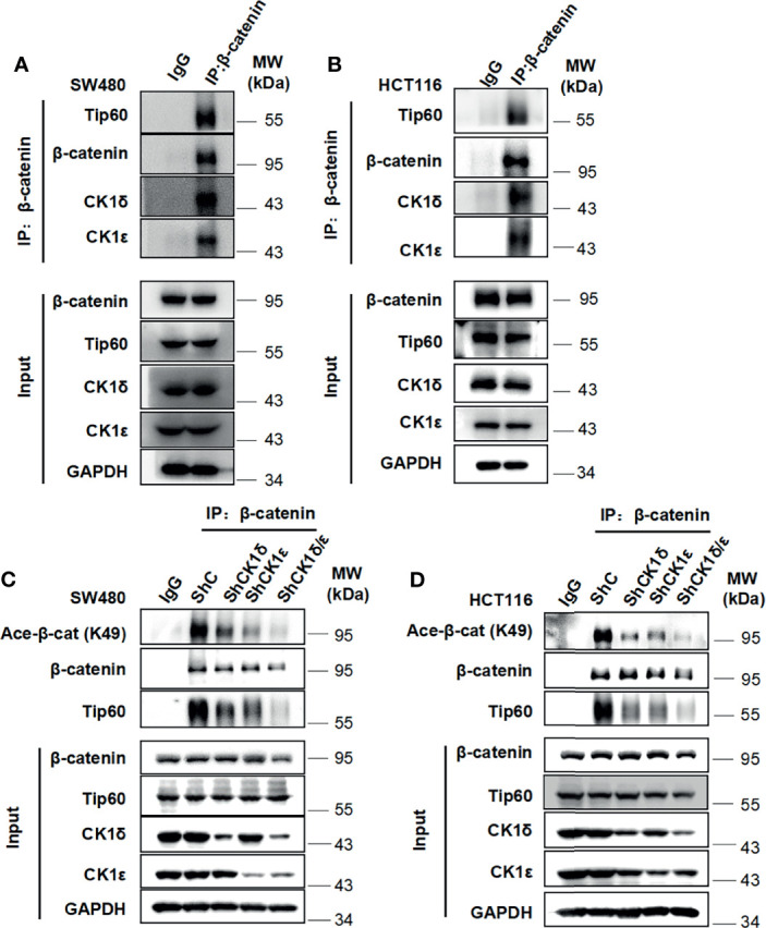 Figure 4