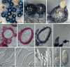 Fig. 9