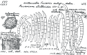 Fig. 21