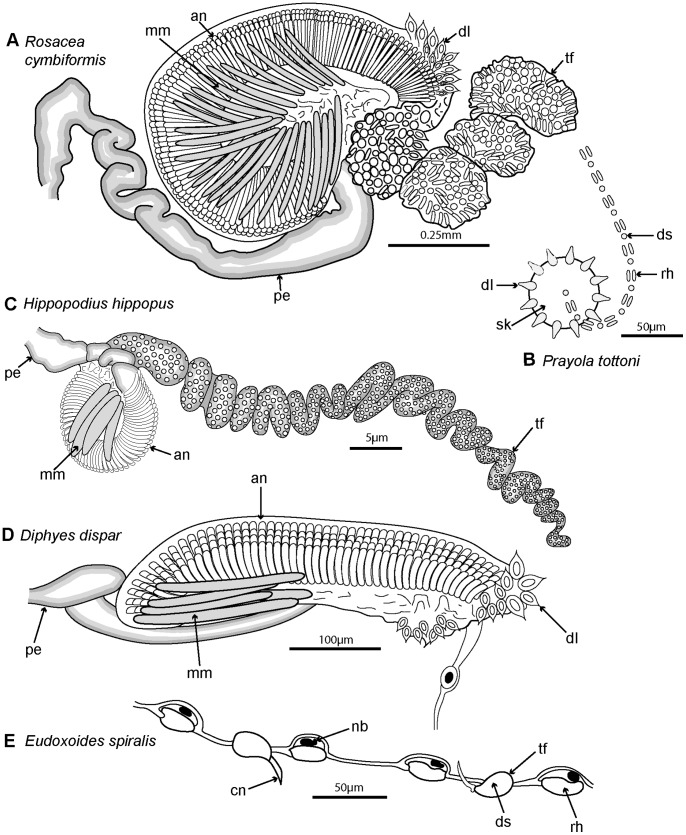 Figure 14