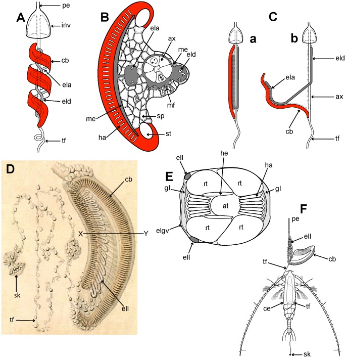 Figure 15