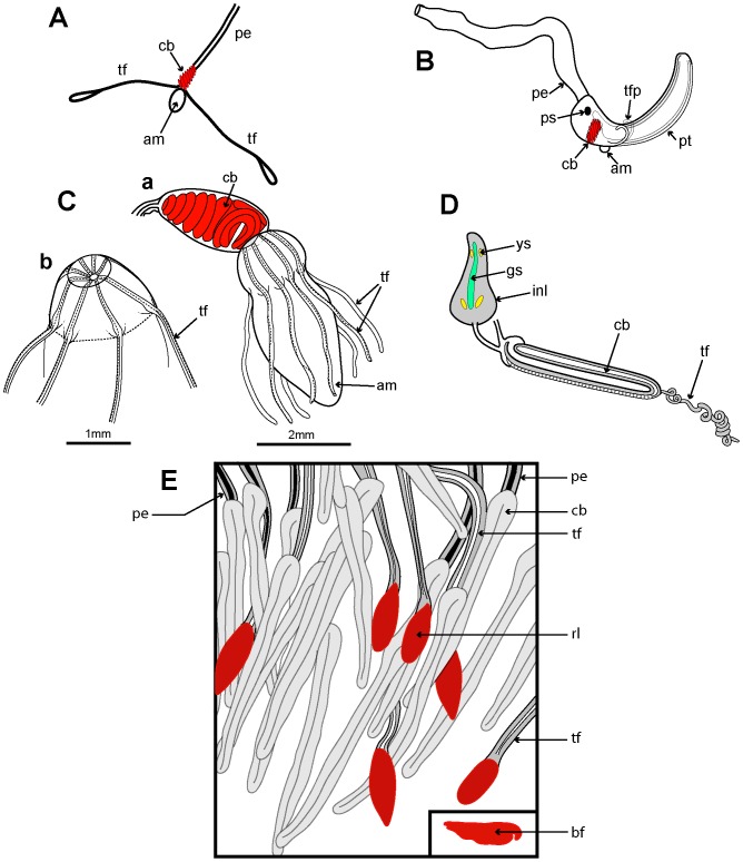 Figure 16