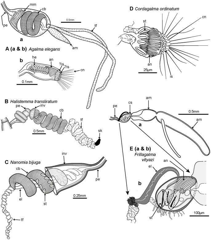 Figure 13