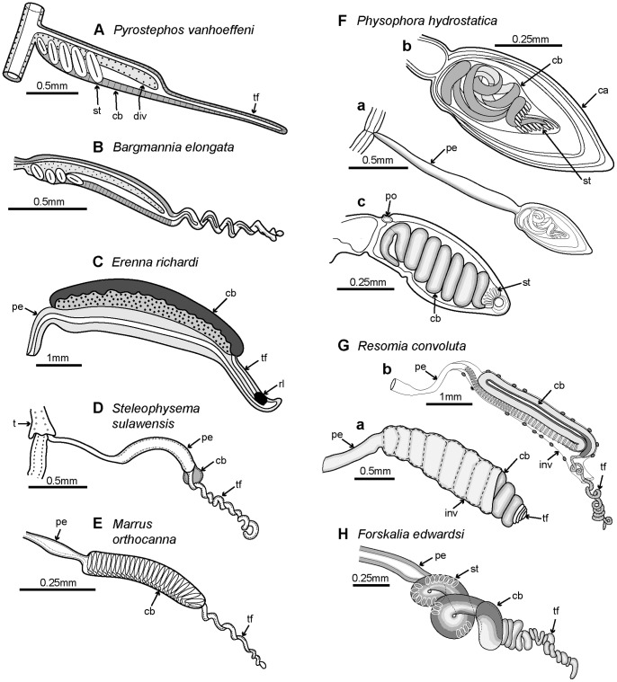 Figure 12