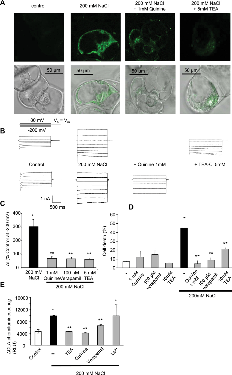 Fig. 6.