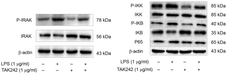 Figure 5.