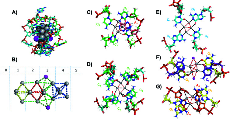 Fig. 12