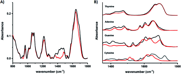 Fig. 10