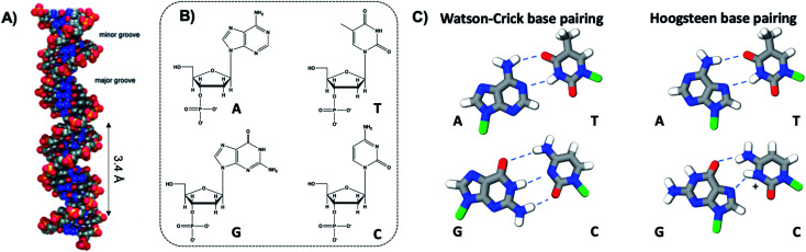 Fig. 2