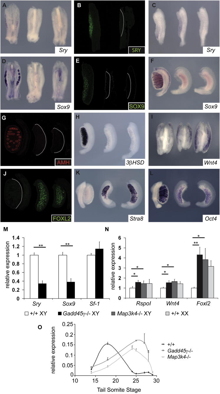 Figure 3