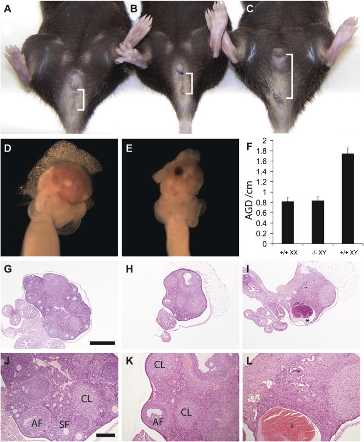 Figure 2