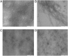 Fig. 10