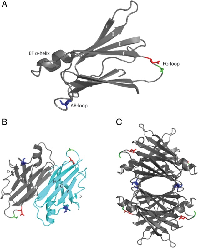 Fig. 1