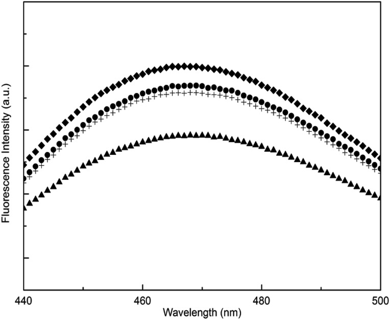 Fig. 6