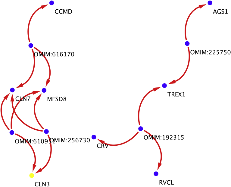 Fig. 12