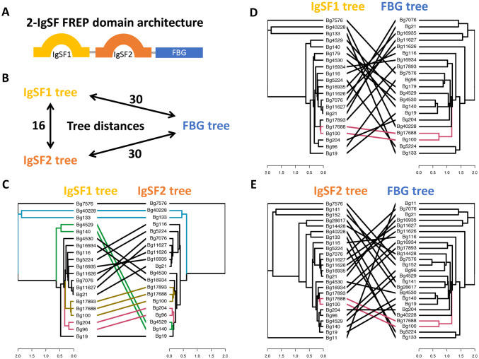 Fig 6