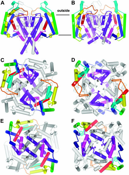 FIGURE 4