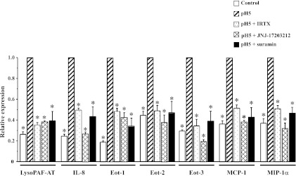 Fig. 11.