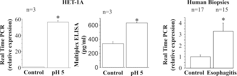 Fig. 9.