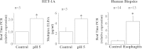 Fig. 10.