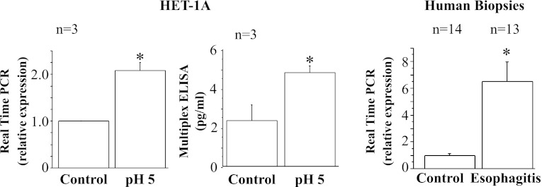 Fig. 10.